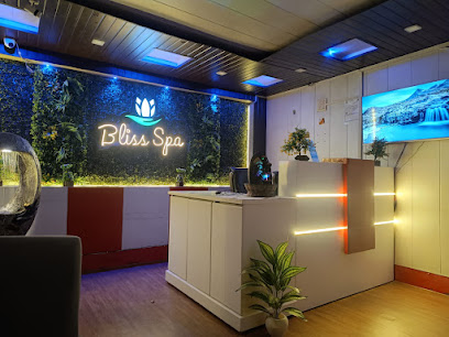 Bliss The Massage Spa Punjabi Bagh - Luxury Spa In Punjabi Bagh Paschim Vihar Delhi business photograph