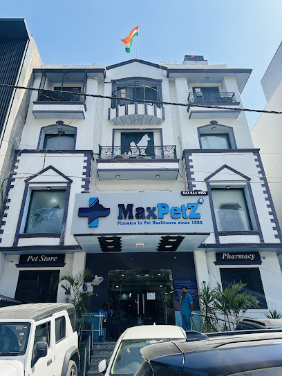 MaxPetZ Animal Hospital East of kailash business photograph
