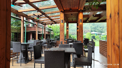 Cine Tree Cafe | Best Coffee shop near Connaught place business photograph