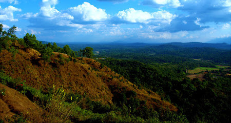 coorg thanika travels business photograph