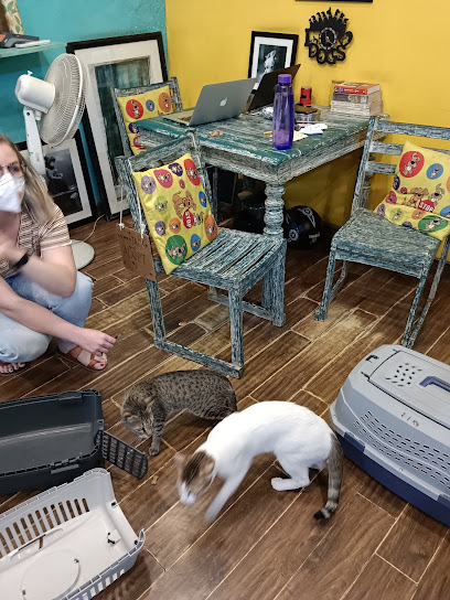 Furry Tales Veterinary Pet Clinic for Dogs and Cats business photograph