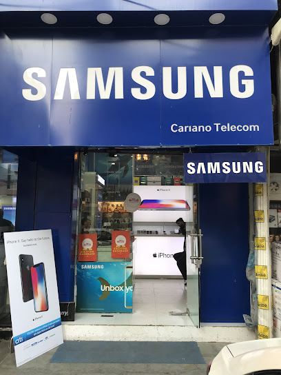 Cariano Telecom business photograph