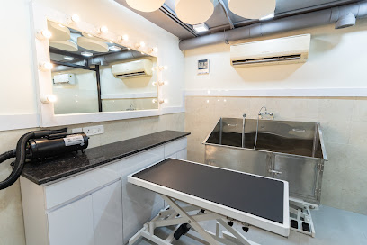 DCC Animal Hospital & Petcare business photograph