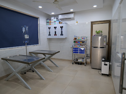 Max vets clinic- Best Veterinary hospital and clinic in Shanti Niketan, South Delhi business photograph