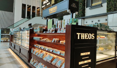 THEOS RAJOURI GARDEN DELHI business photograph