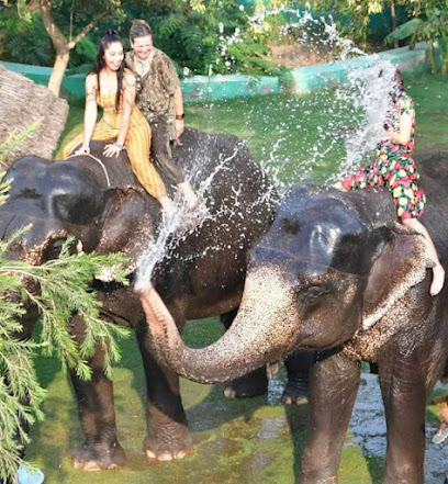 Places to visit in India business photograph