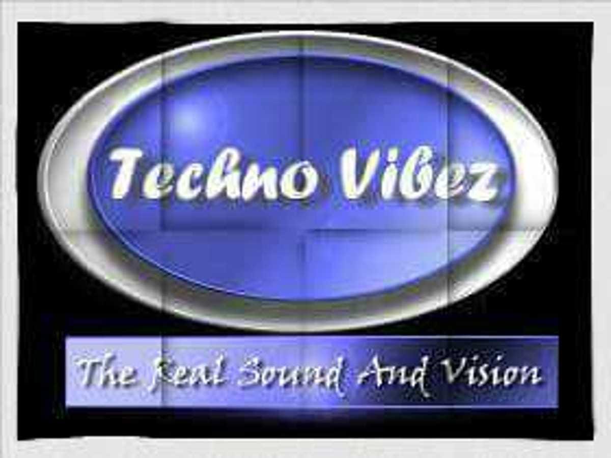 Techno Vibez business photograph