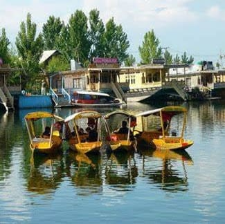 Flora Tour and Travels Kashmir business photograph
