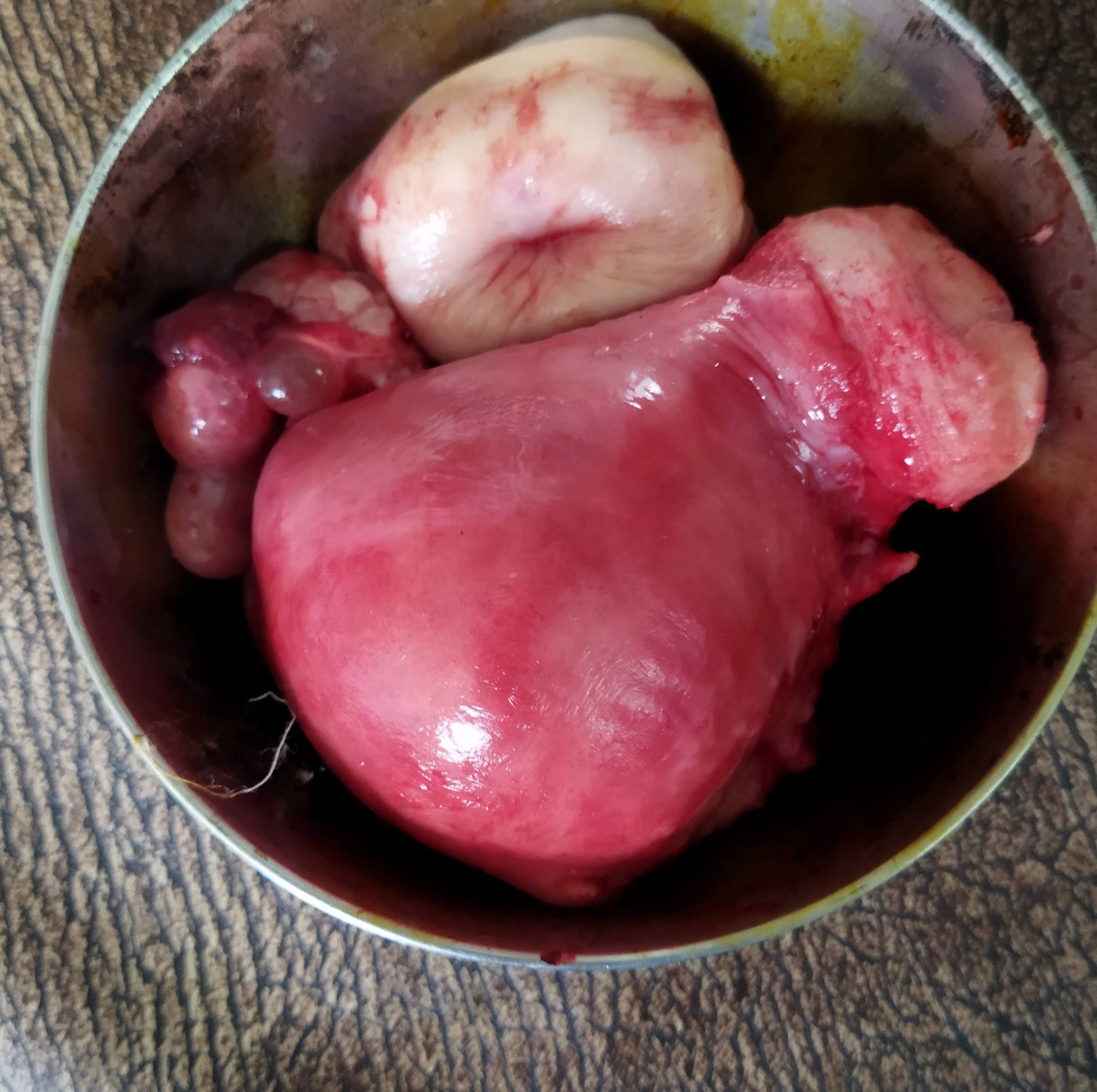 Lalikar Hospital- Best Nursing Home In Aurangabad, Multispeciality Care Center in Aurangabad business photograph