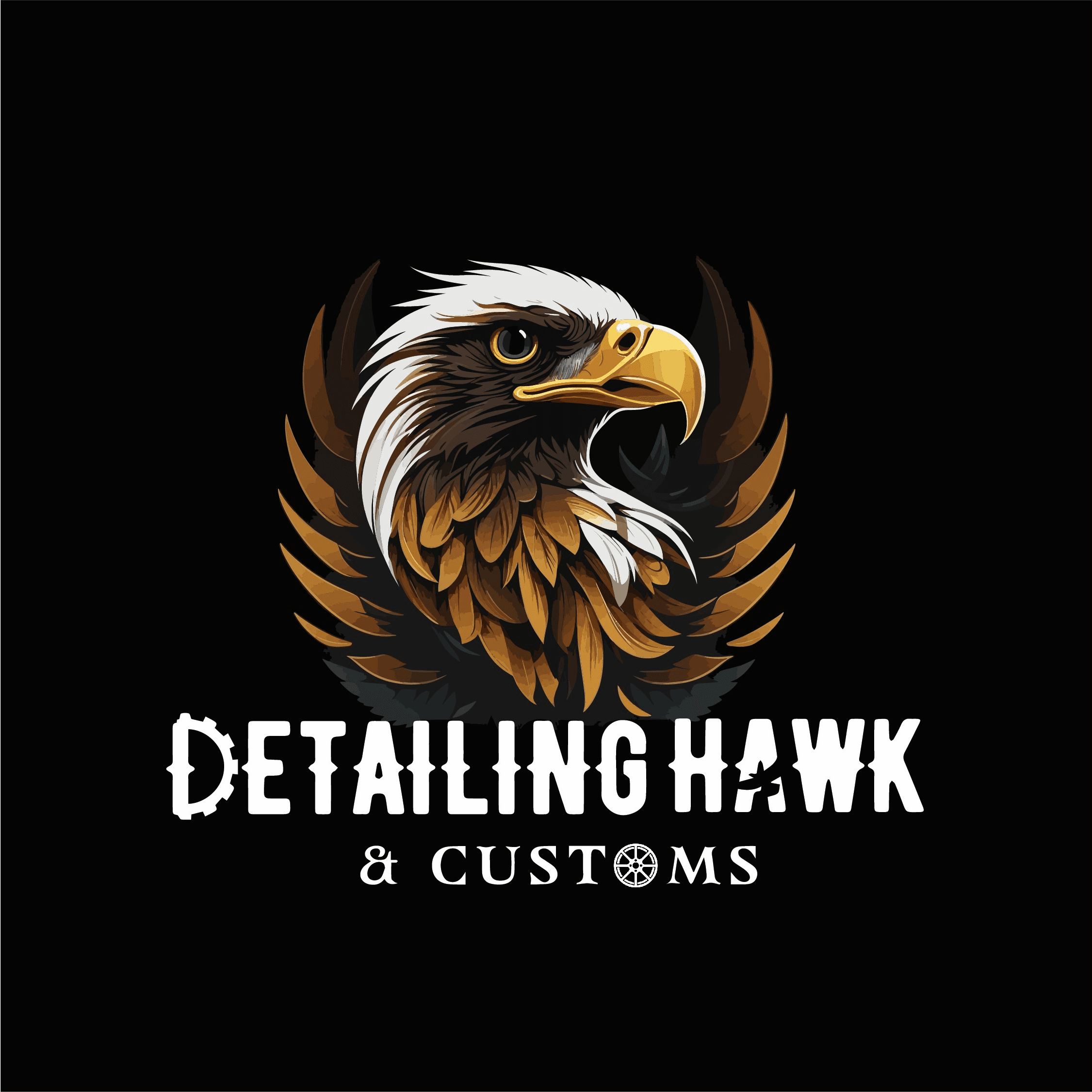Detailing Hawk & Customs business photograph
