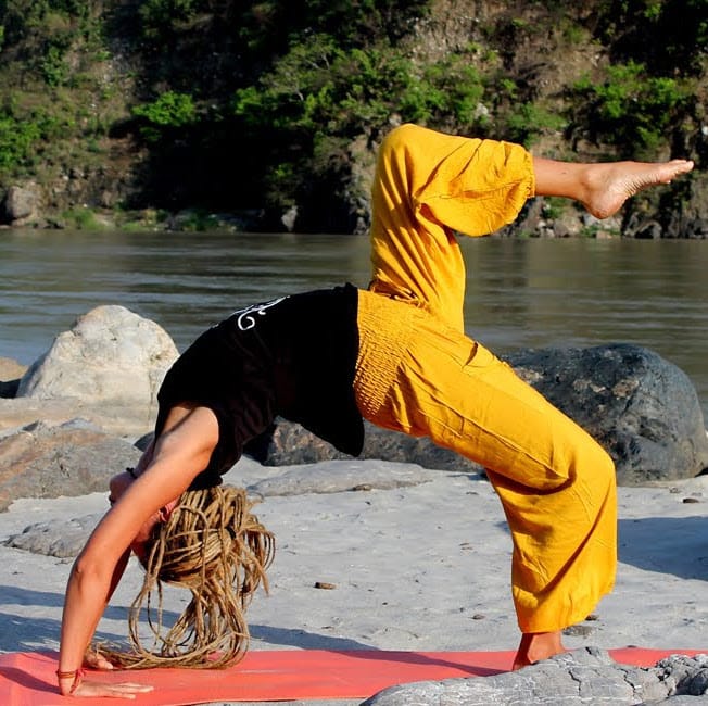 Triguna Yoga Center Rishikesh business photograph