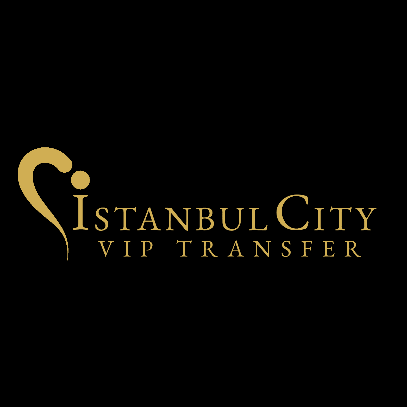 İstanbul City VIP Transfer business photograph