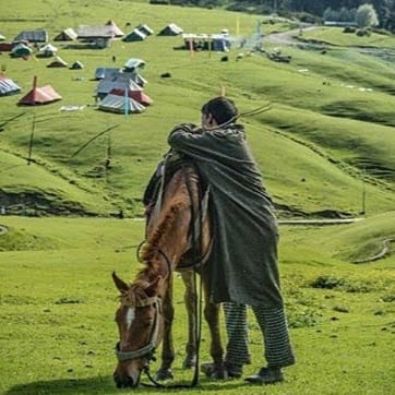 Kashmir Tour Operator Pala Holidays business photograph