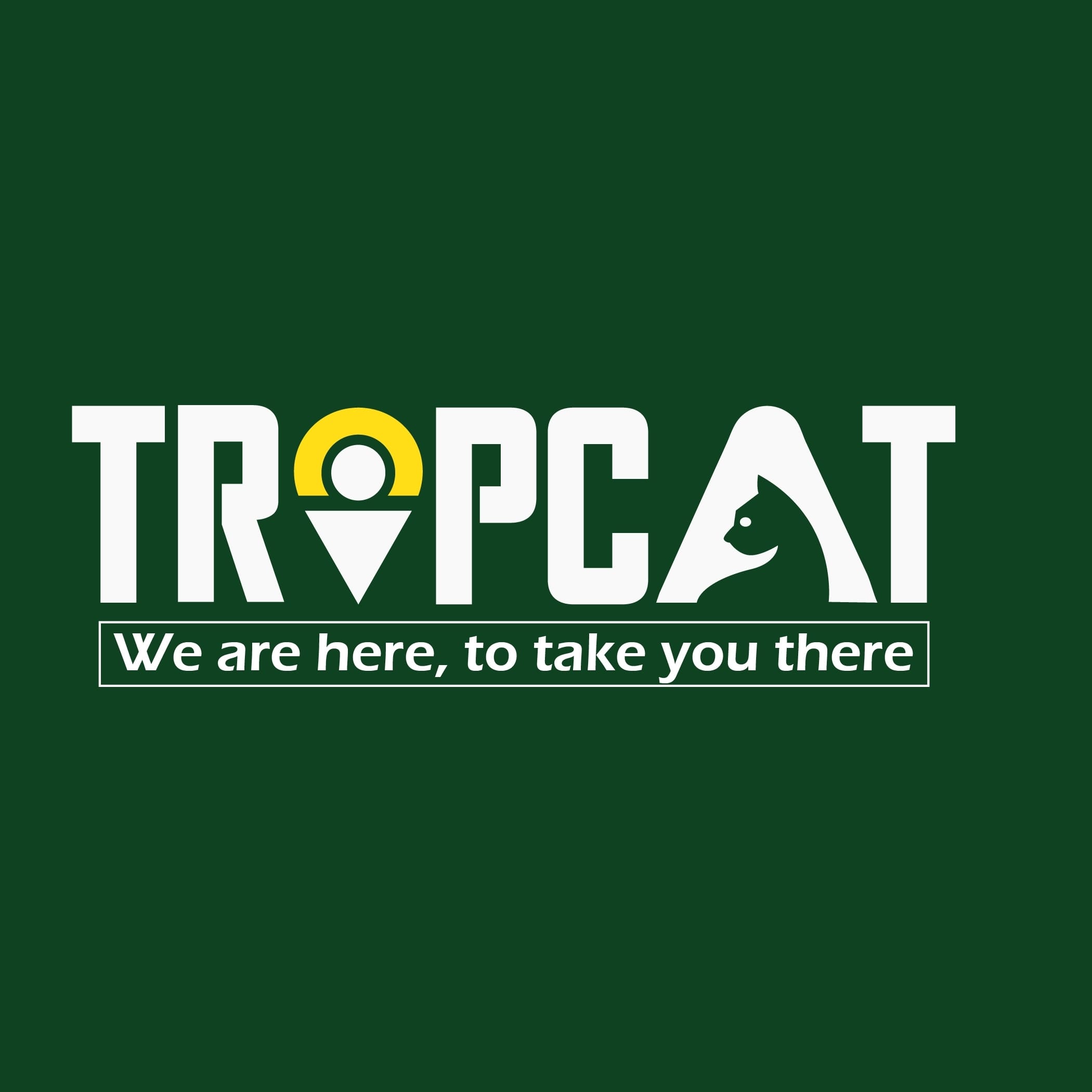 Tripcat business photograph