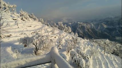 Manoj kumar tour operator & guide business photograph