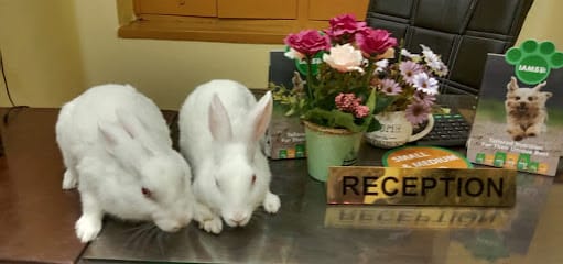 PAW PLANET business photograph