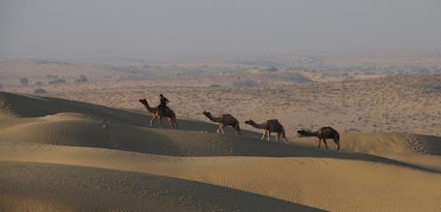 Adventure Travel Agency Camel Safari Jaisalmer business photograph