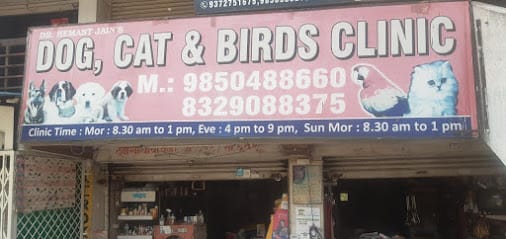 Dog Cat And Birds Clinic business photograph