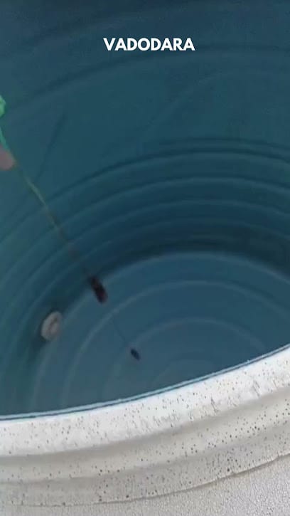 Krishna Cleaning Services Vadodara business photograph