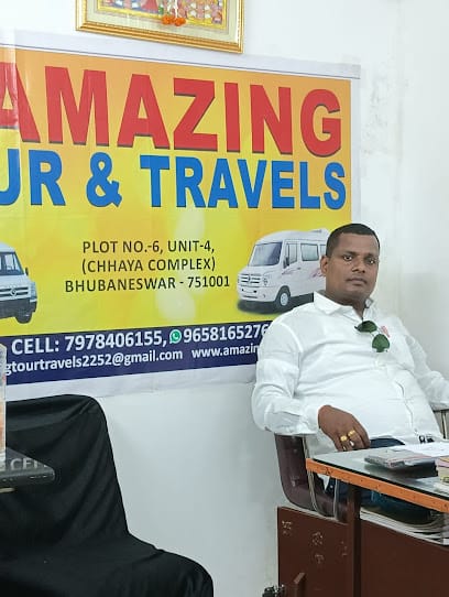 Amazing Tours & Travels business photograph