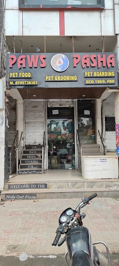 Paws and pasha business photograph