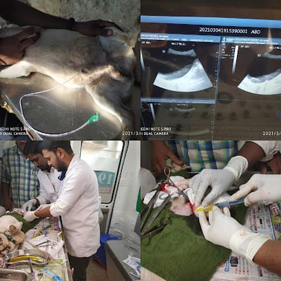 Happy Pet Clinic - Veterinary clinic business photograph