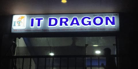 IT DRAGON business photograph