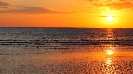 Monks on Wheels business photograph