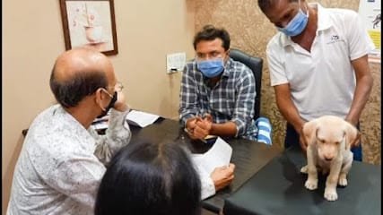 UNIVERSE PET CLINIC business photograph