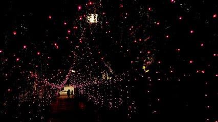 Vineet Vatika business photograph