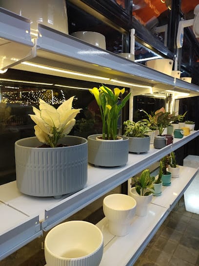 Dream Nursery (Branch 2) business photograph