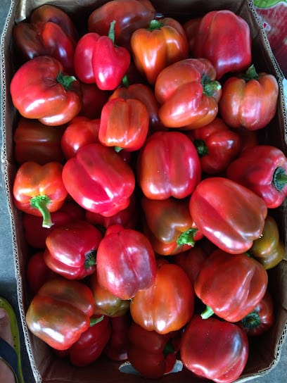 The Organic Farm business photograph
