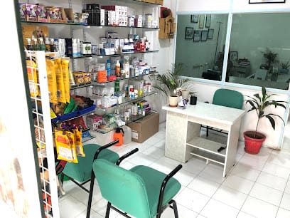 Woofy & Vet Pet Clinic and Shop business photograph