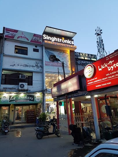 Singhtronics business photograph