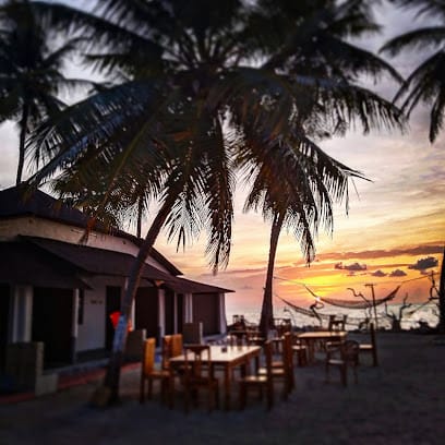 Turtle Nest Resort business photograph