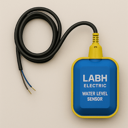 labh electric & electronics business photograph