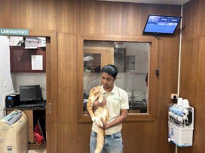 My Pet Hospital & Grooming kannur business photograph