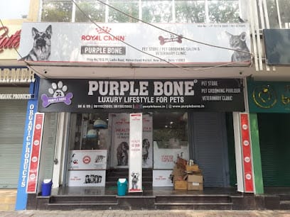 Purple Bone - Pet Shop In South Delhi business photograph