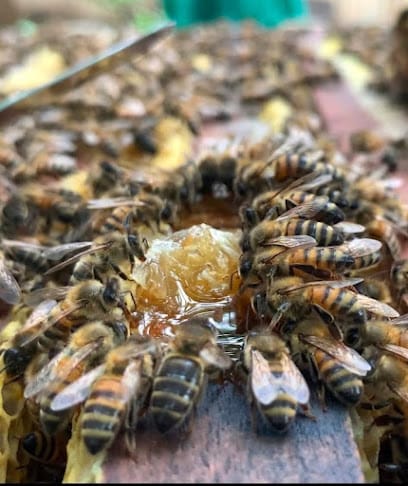Praba Enterprises Coorg Honey Farm business photograph