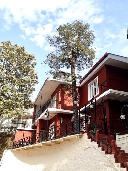 Mango Tree Courtyard Mussoorie business photograph