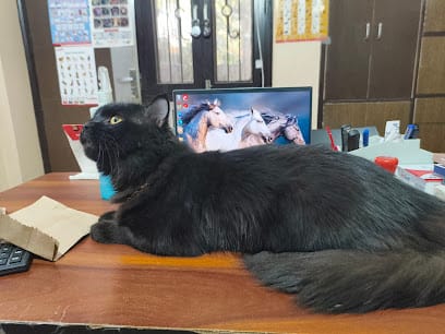 Vedic Pets Clinic and Surgery Centre business photograph