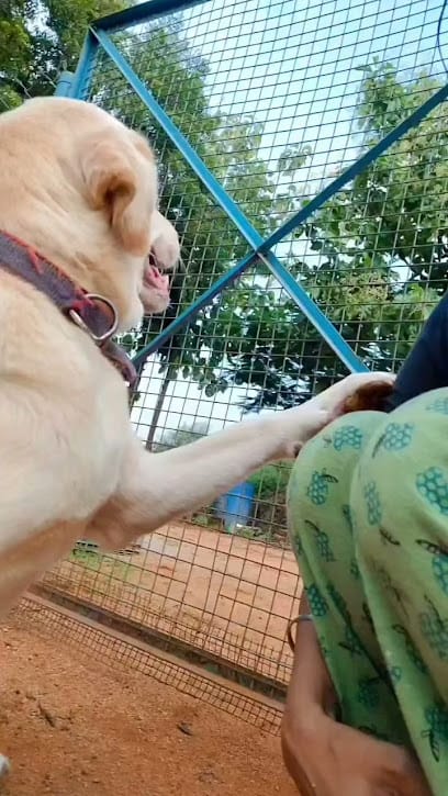 Pet Jungle Hyderabad business photograph