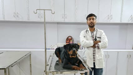 Noble care pet clinic business photograph