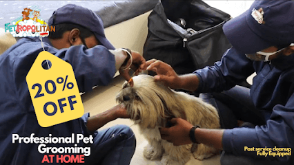 Petropolitan - Expert Dog & Cat Grooming at Home business photograph