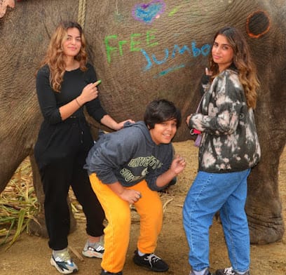 Enjoy Rajasthan Tour - Travel company in jaipur - Best Tour & Travel company in Rajasthan - Best travel agency in Jaipur business photograph