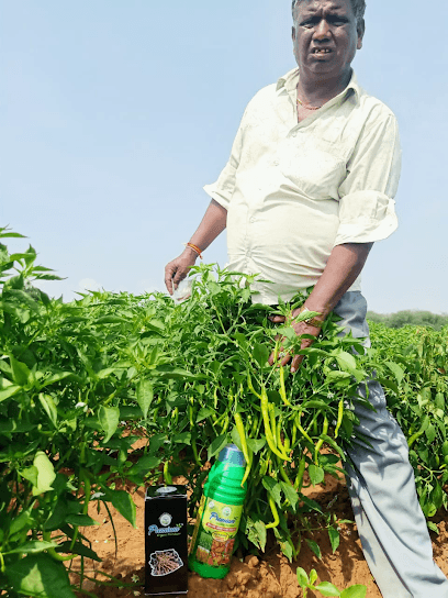 Shree Premium Organic Fertilisers business photograph