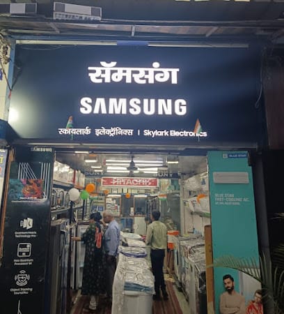 Skylark Electronics business photograph