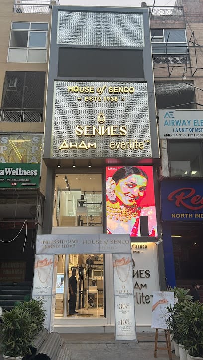 Senco Gold & Diamonds- LajpatNagar (House of Senco) business photograph
