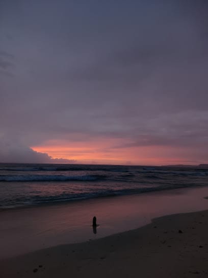 Aqua Andaman|Best Travel Agency & Tour Operator in Andaman Islands business photograph