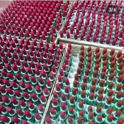 NAJA NAJA COSMETICS business photograph